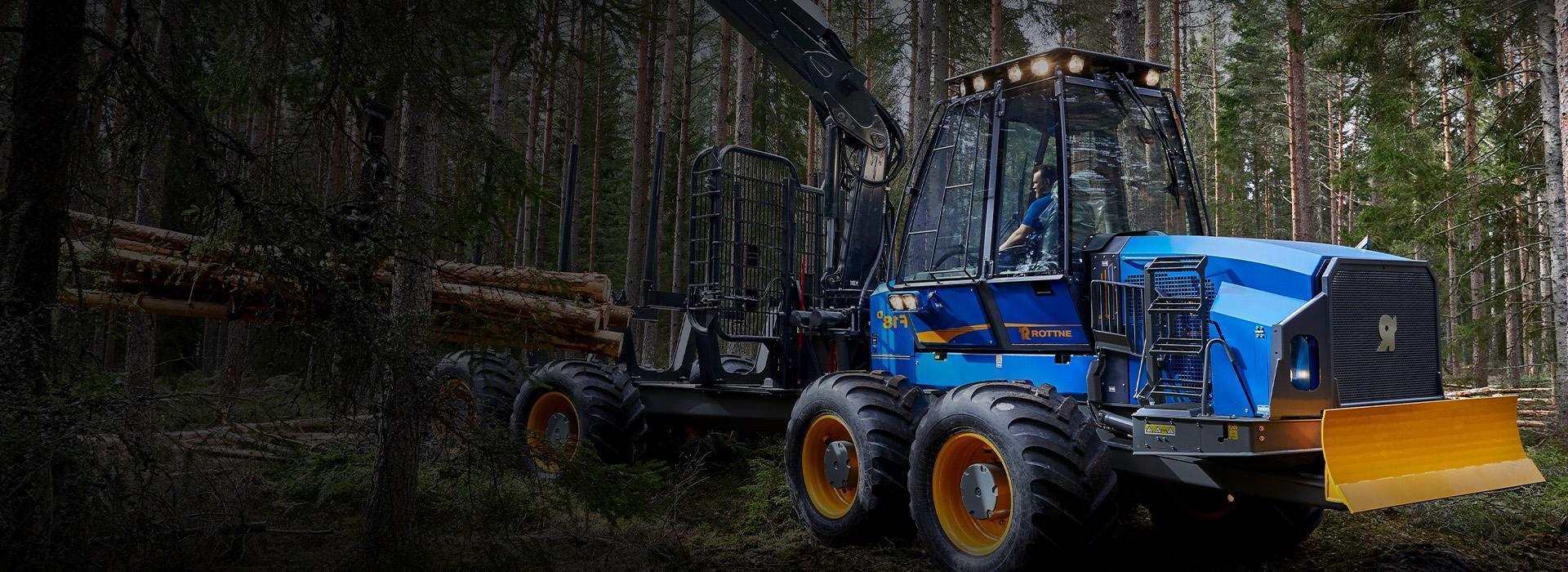 Slajd 2 - wycinka drzew